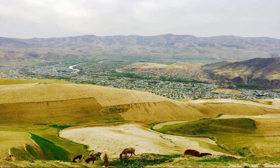  مادری در بدخشان به دلیل ازدواج اجباری دخترش با یک طالب خود کشی کرد