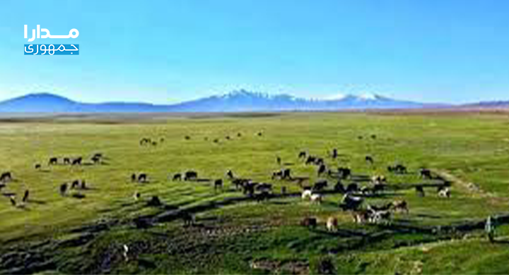  در گیری مردان کوچی با نوجوان هزاره در ناور غزنی؛ جوان هزاره ناپدید شده و کوچی‌ها ۲۷ لک افغانی خساره می‌خواهند